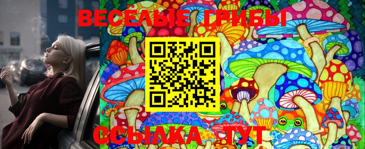 Галлюциногенные грибы GOLDEN TEACHER Великий Устюг