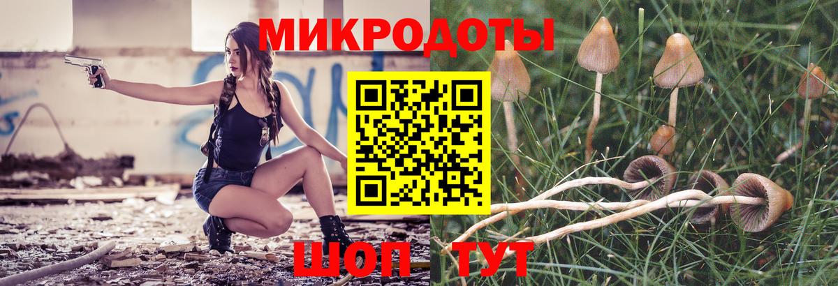 Великий Устюг  Галлюциногенные грибы Magic Shrooms  Псилоцибиновые грибы мухоморы  Вход с VPN 